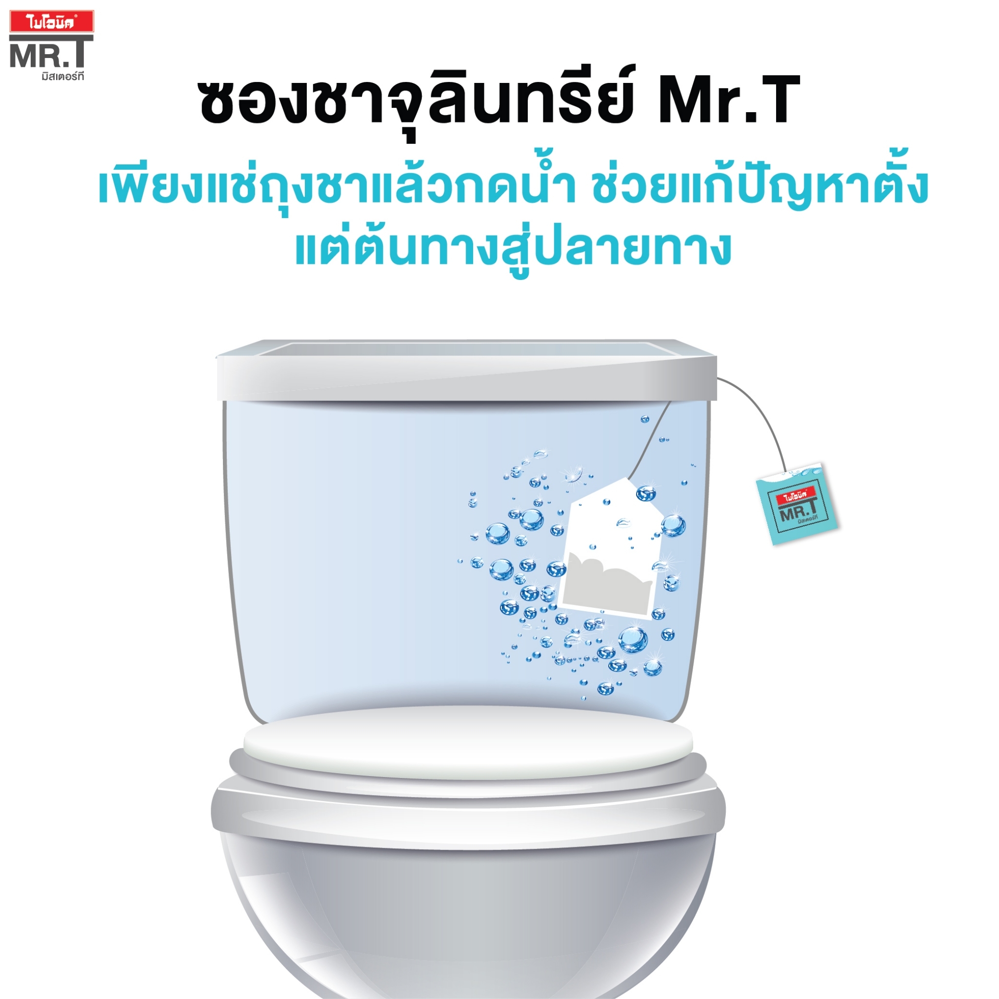 Mr.T - Image 3