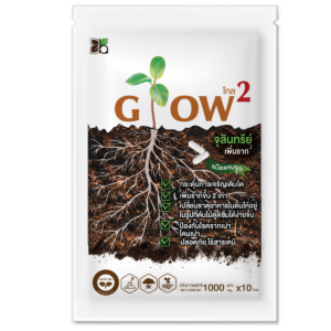 Glow2 ( โกล2 )
