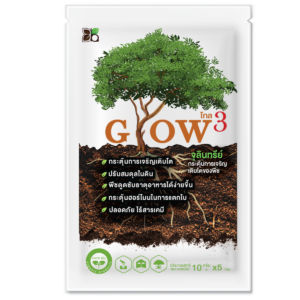 Glow3 (โกล3)