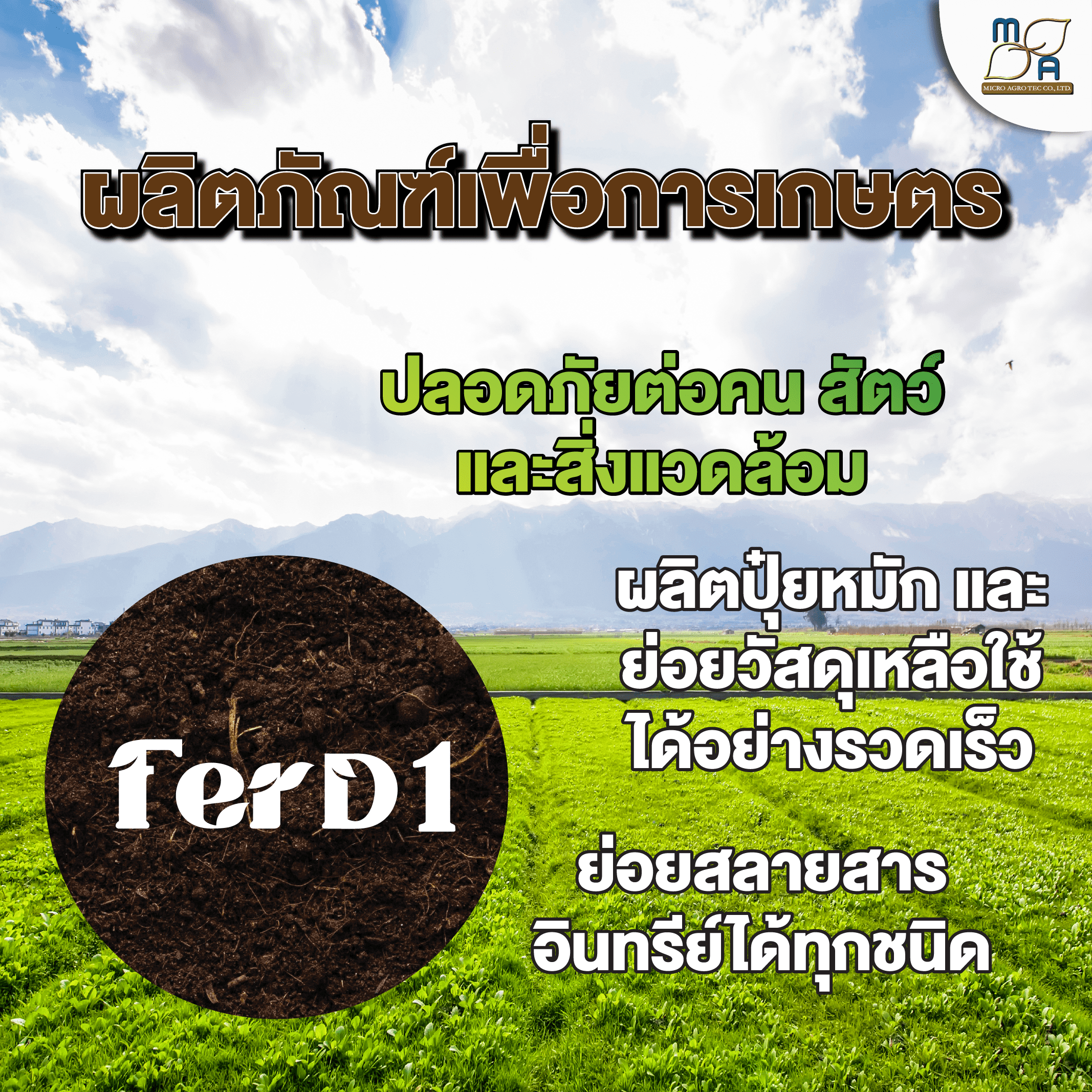 FerD1 - Image 4