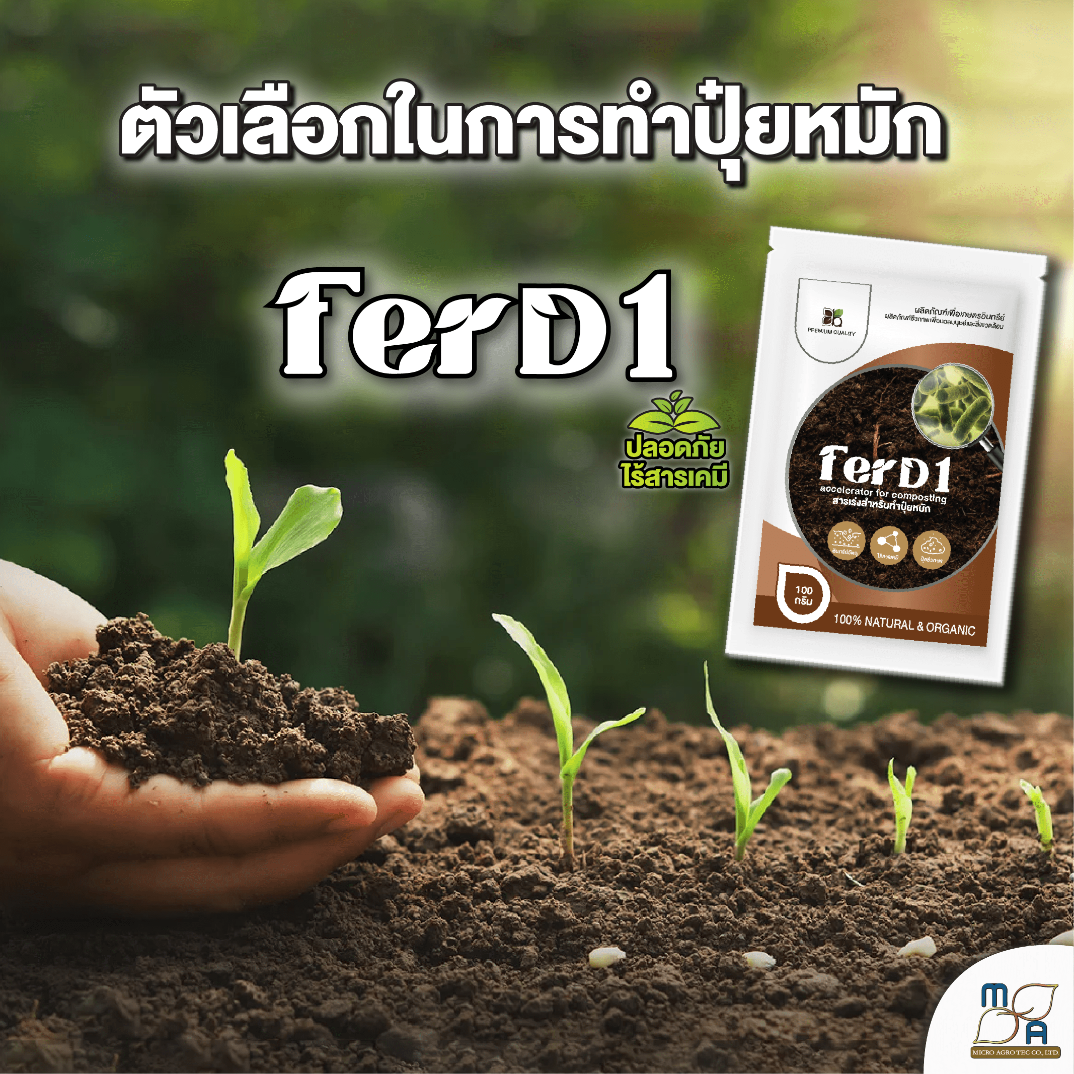 FerD1 - Image 5